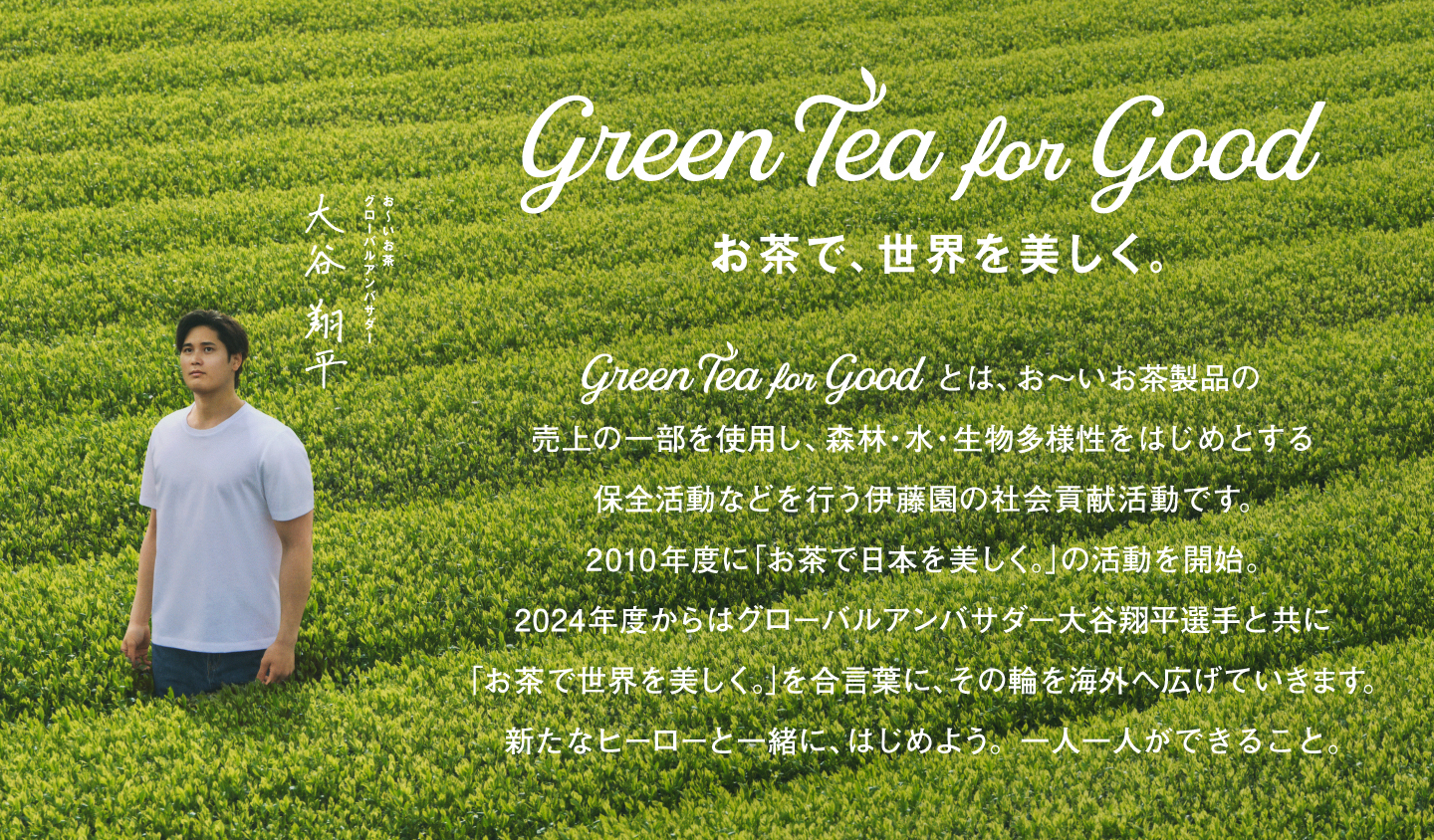 Green Tea for Good メッセージ